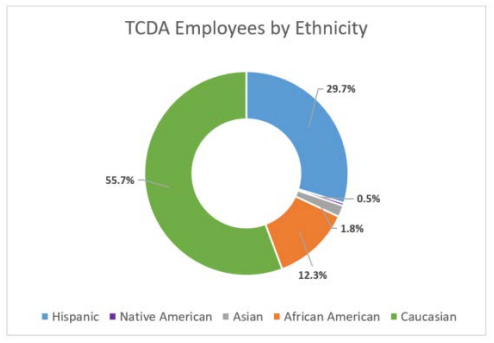 refer to table 3: TCDA employees by ethnicity